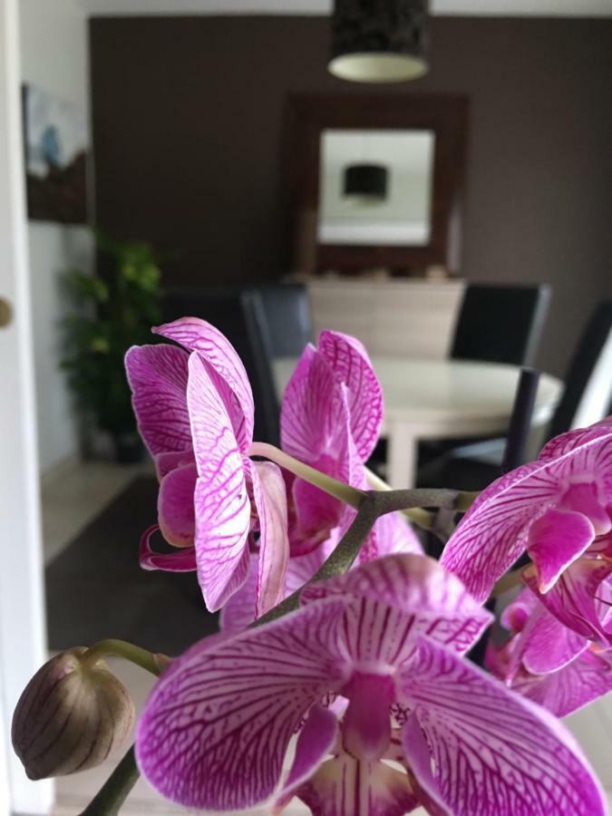 Appartamento Nano House Bègles Esterno foto